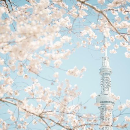 Hotel Ichigaya（Jr Ichigaya Sta.) Токио Екстериор снимка