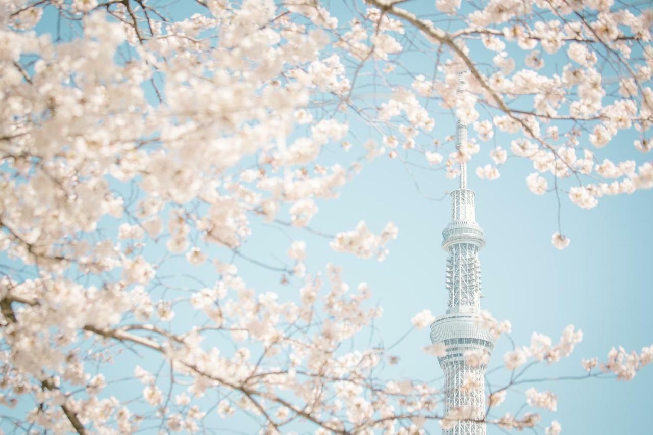 Hotel Ichigaya（Jr Ichigaya Sta.) Токио Екстериор снимка